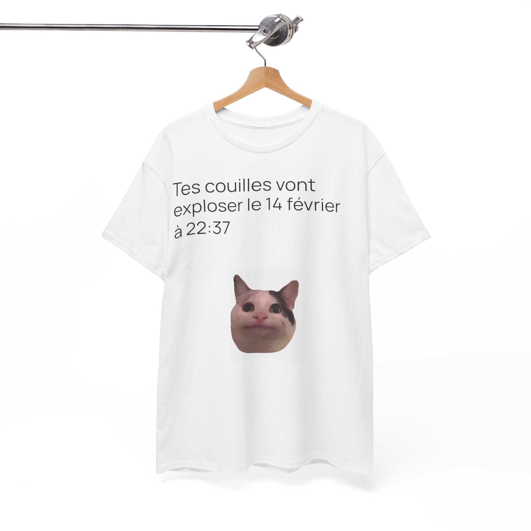 Destinée tragique - T-shirt drôle original meme de chat