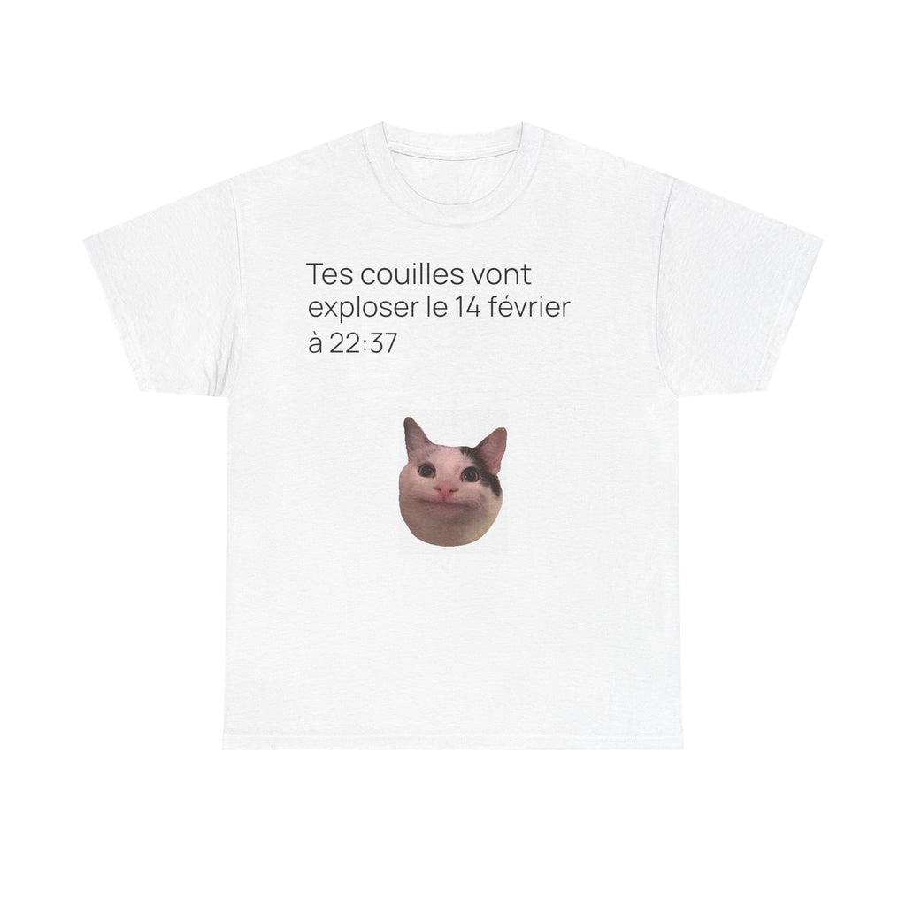 Destinée tragique - T-shirt drôle original meme de chat