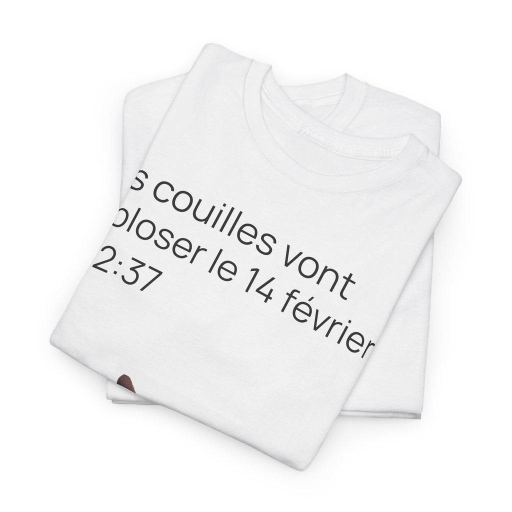Destinée tragique - T-shirt drôle original meme de chat