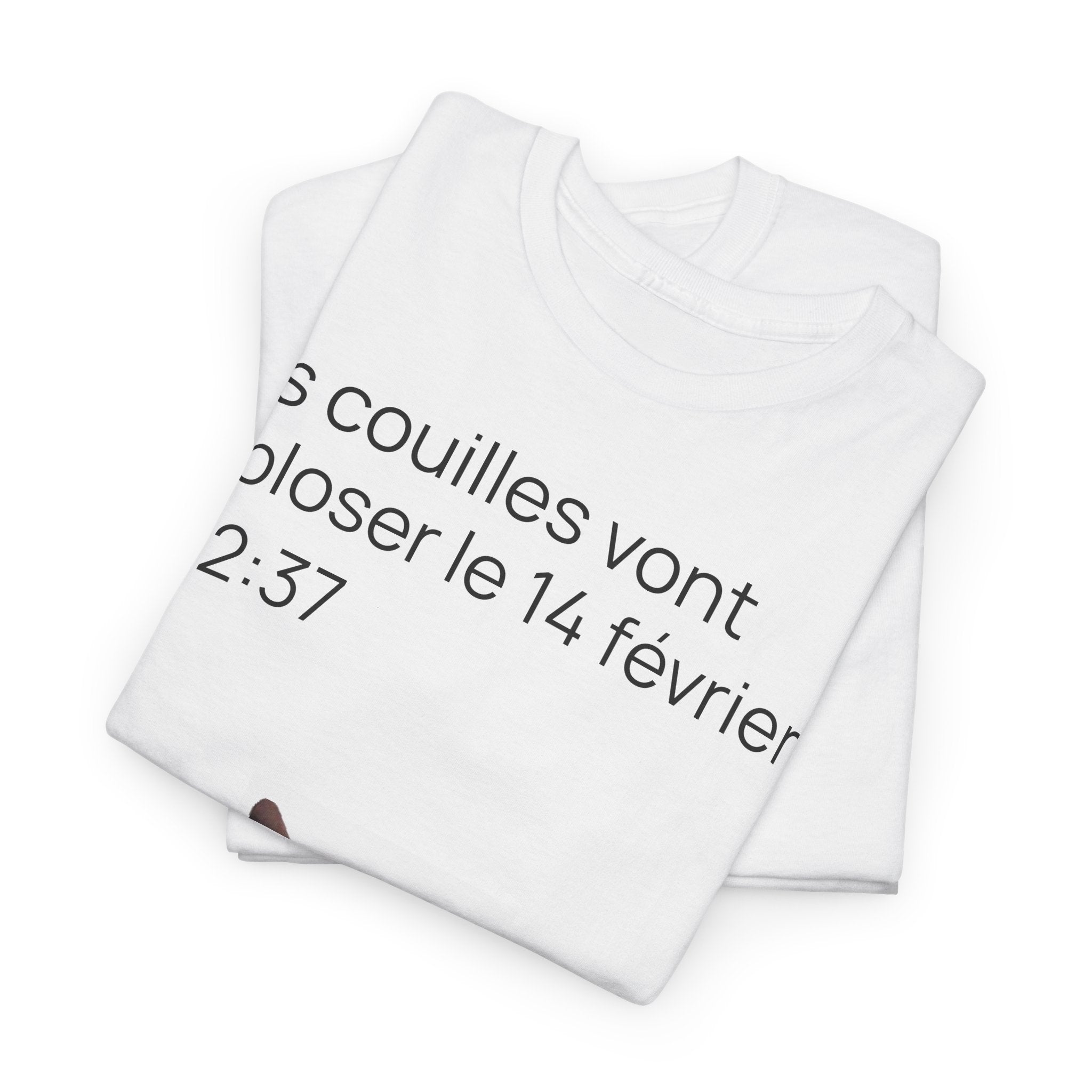 Destinée tragique - T-shirt drôle original meme de chat