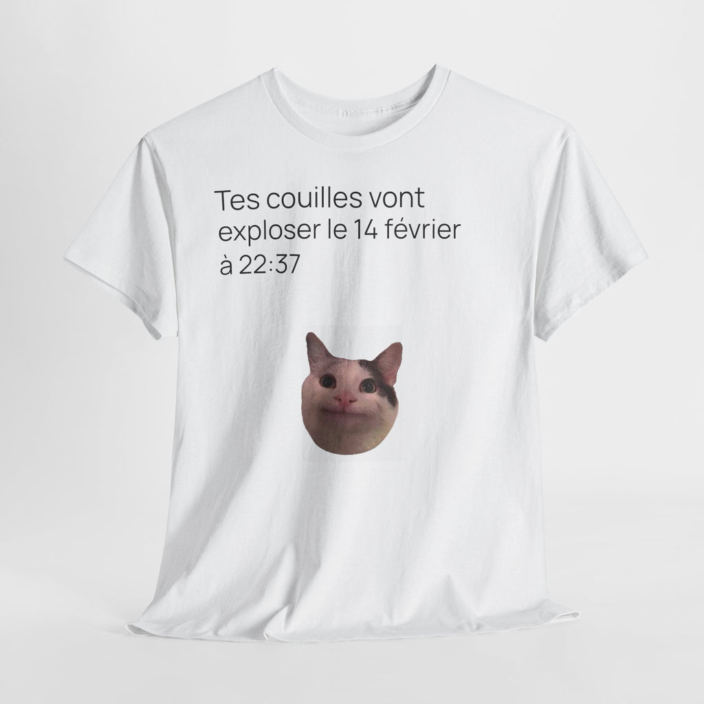 Destinée tragique - T-shirt drôle original meme de chat