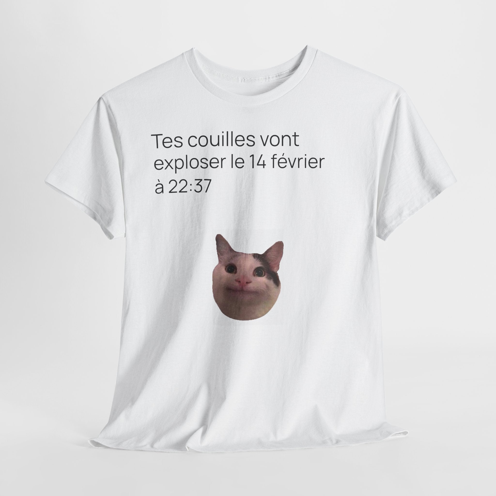Destinée tragique - T-shirt drôle original meme de chat