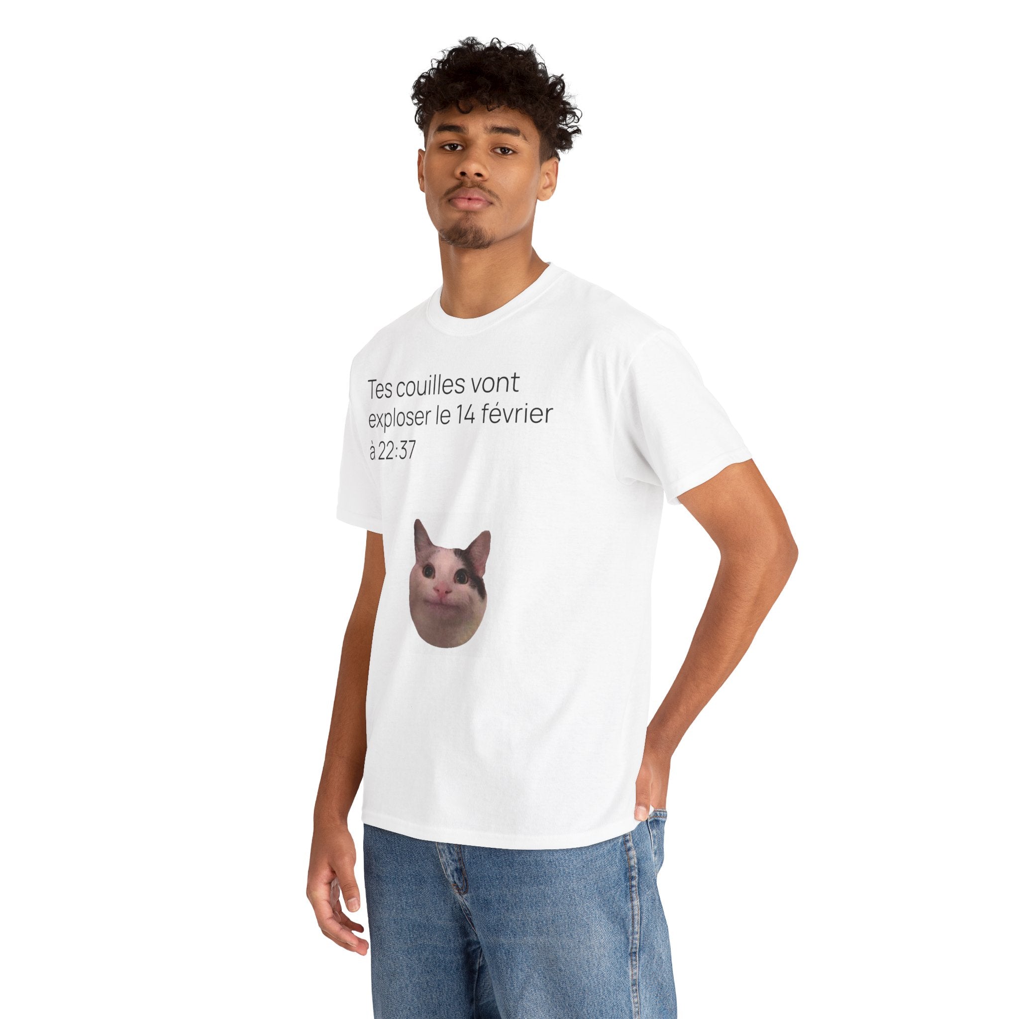 Destinée tragique - T-shirt drôle original meme de chat
